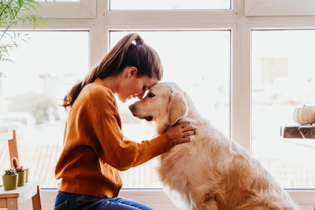 These are the Top 10 Loyal Animals Worldwide