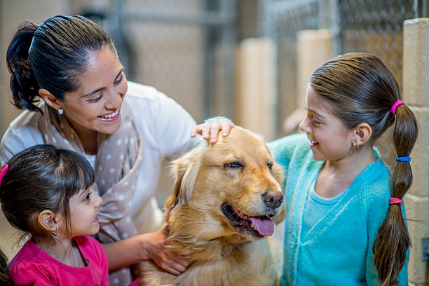 How To Choose a Pet Animal For Your Family